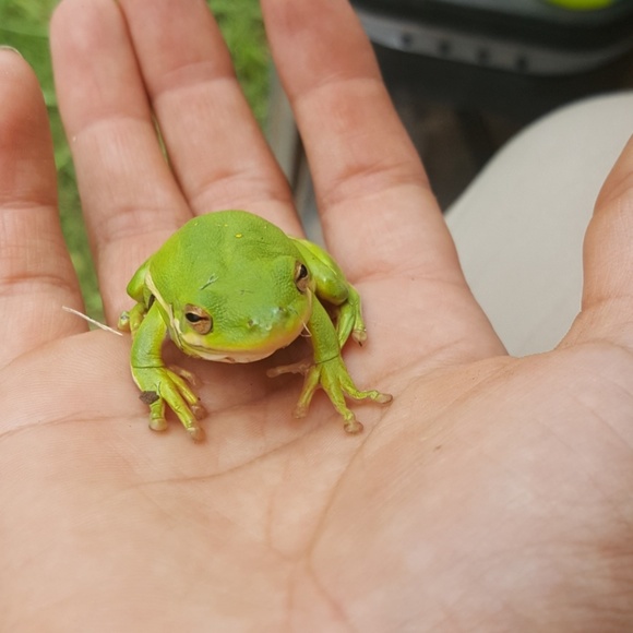 Meet your Posher, Laura - Picture 3 of 3